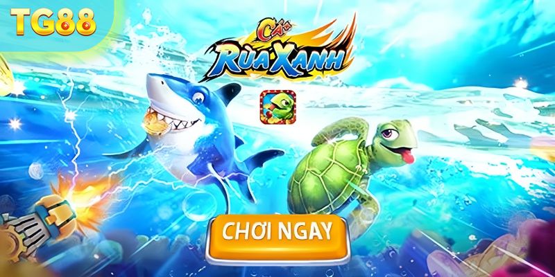 Khái niệm bắn cá rùa xanh