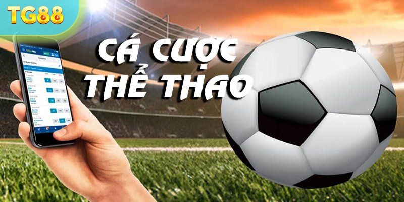 Các ký hiệu quan trọng khi cá cược thể thao mà player cần biết 