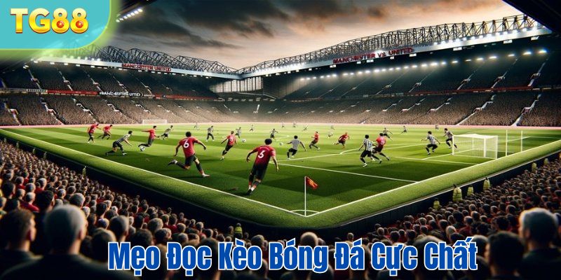 Mẹo đọc kèo cực chất khi tham gia cá độ bóng đá 