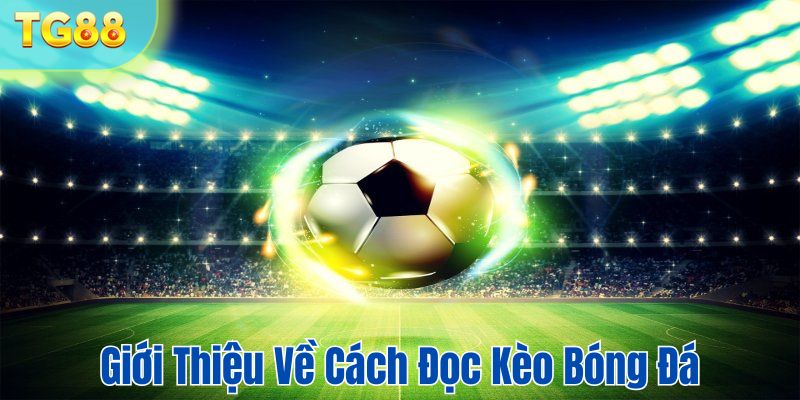 Thông tin chi tiết về cách đọc kèo bóng đá độc đáo