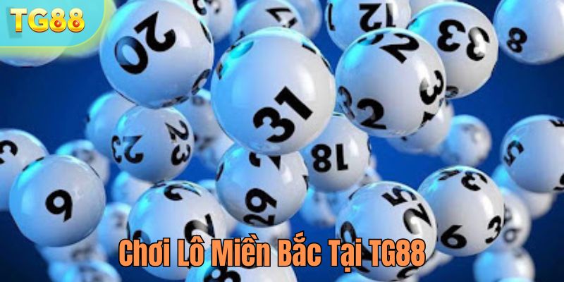 Chơi lô miền bắc tại TG88