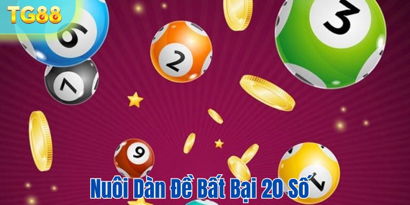 Nuôi dàn đề bất bại 20 số