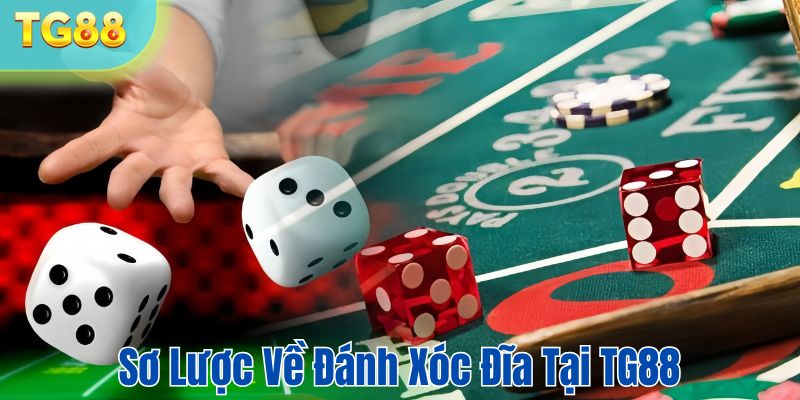 Tìm hiểu khái quát về đánh xóc đĩa